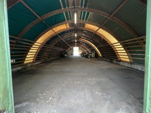 IMG_8392